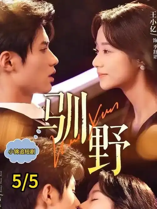 上海题材新剧 预约海报